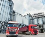 Строй Торг (Dzerzhinskogo Street, 242) ، إسمنت