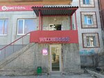 Wildberries (mikrorayon Pervykh Pyatiletok, ulitsa Ilyicha, 37к2), point of delivery