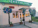 Green (село Мирное, улица Мира, 16А), floristeria