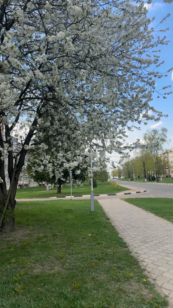 Notaries Notarialnaya Kontora Slavgorodskogo rayona Mogilevskogo Notarialnogo Okruga, Slavgorod, photo