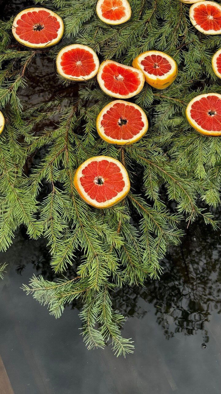 Фото Лесная Резиденция