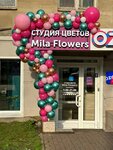 Mila Flowers (Pushkinskaya Street, 224), flower shop