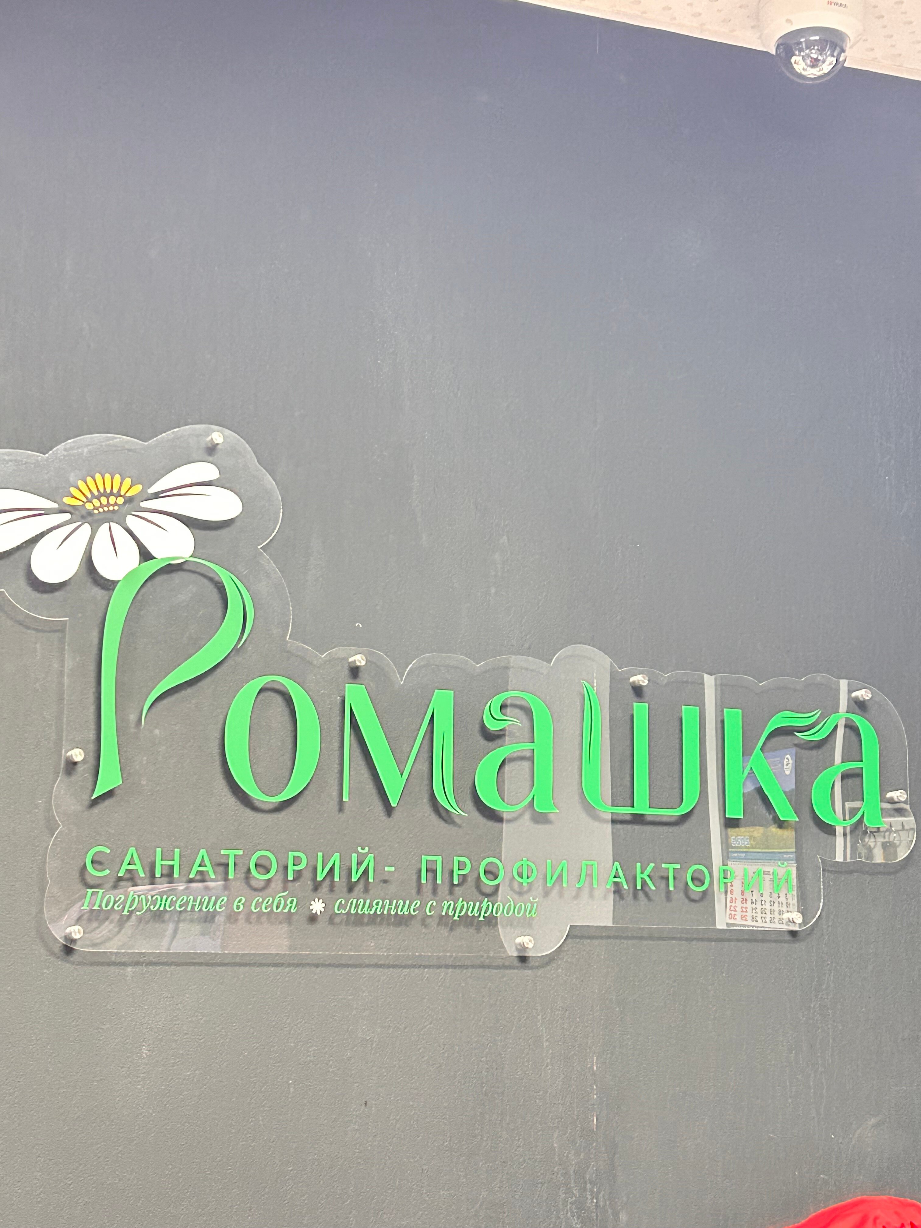 Фото Ромашка