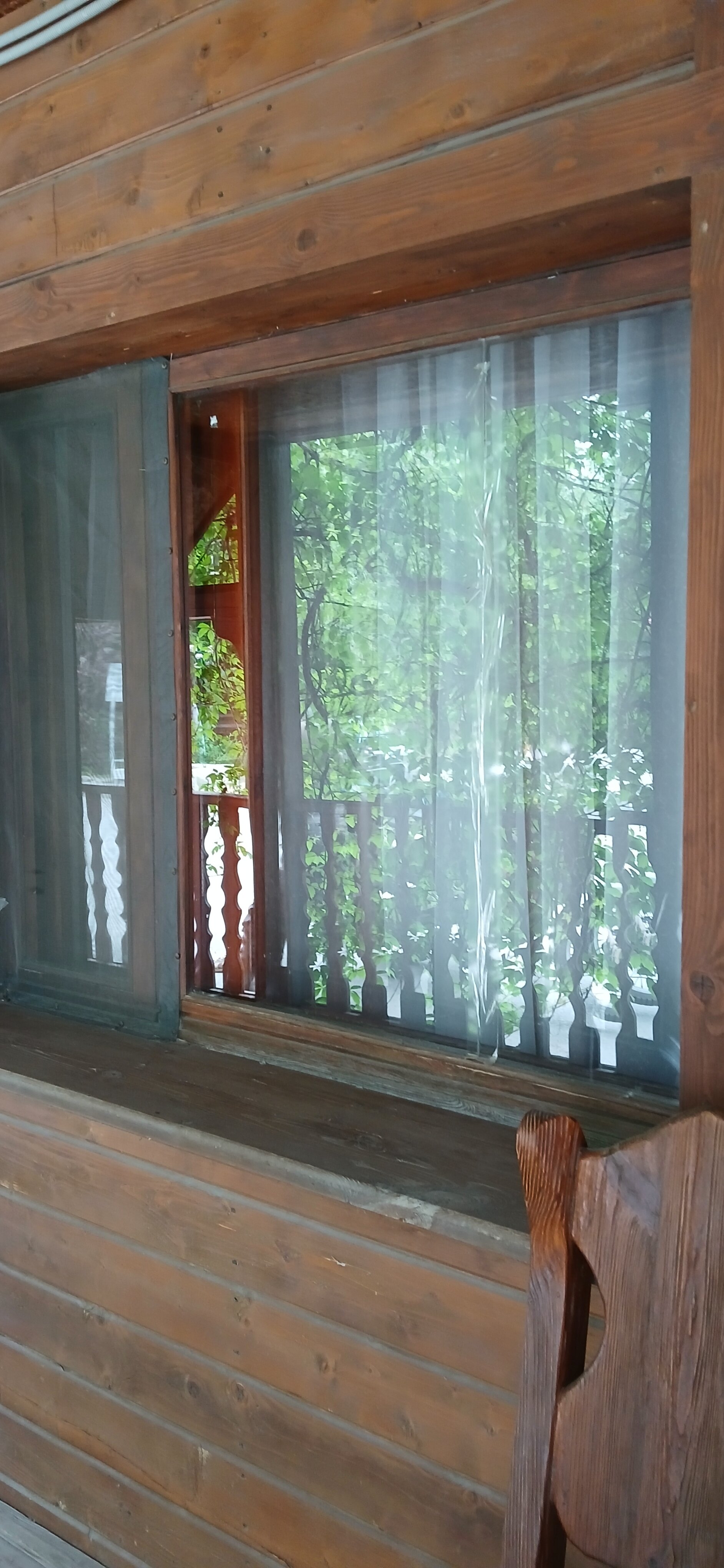 Фото Надежда