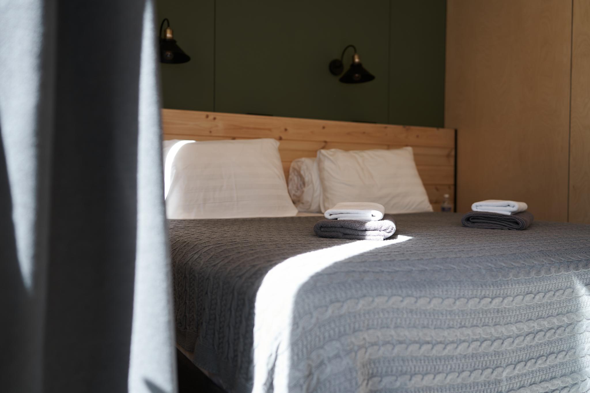 Фото Снежные Гуси