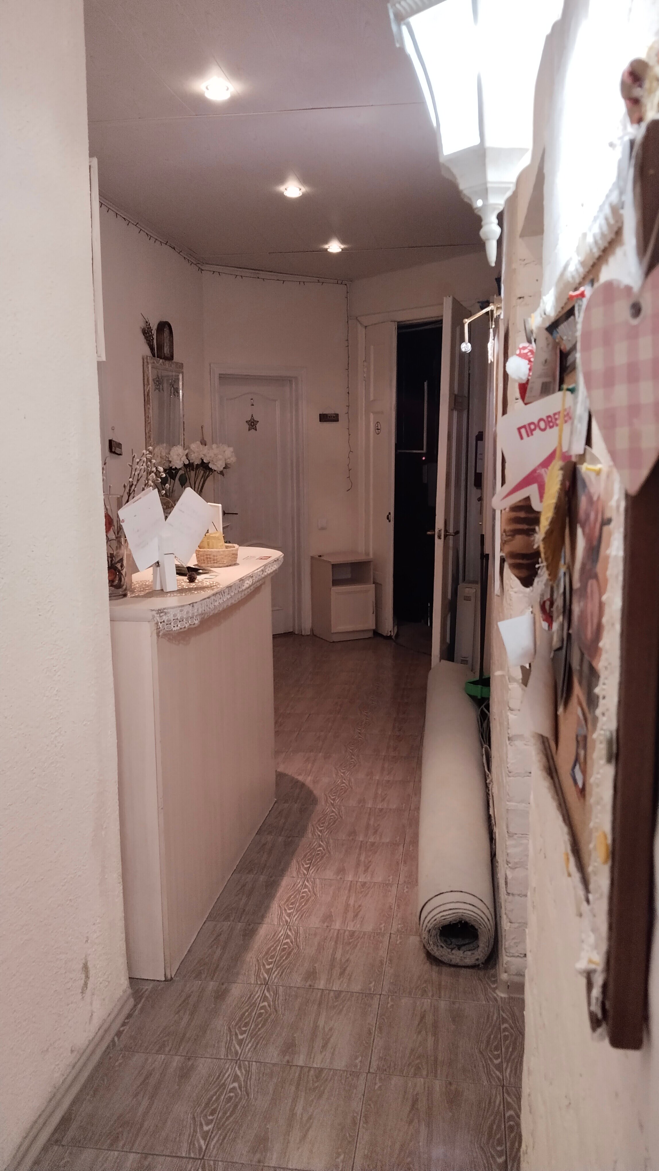 Фото Старый кот