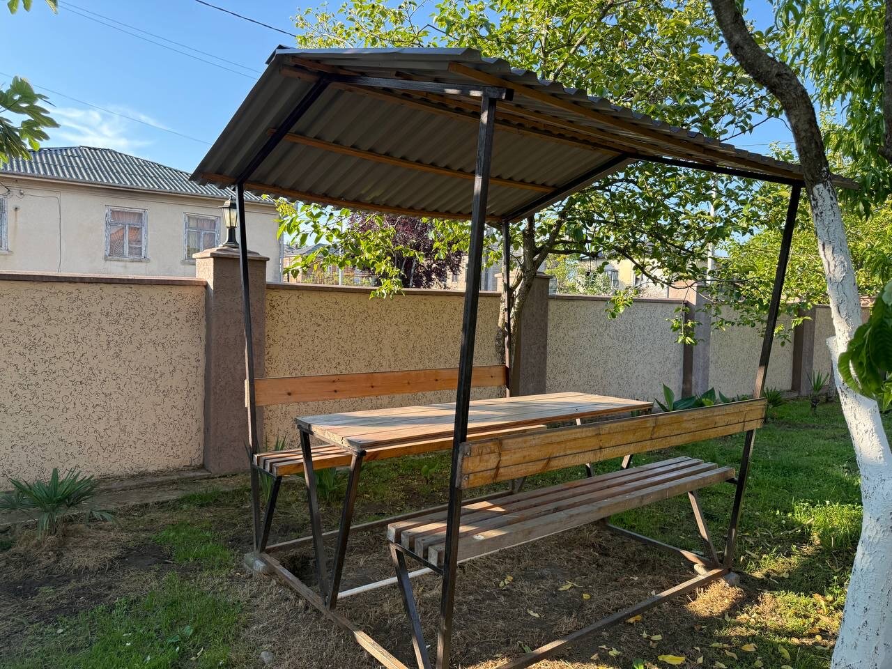 Фото Орхидея