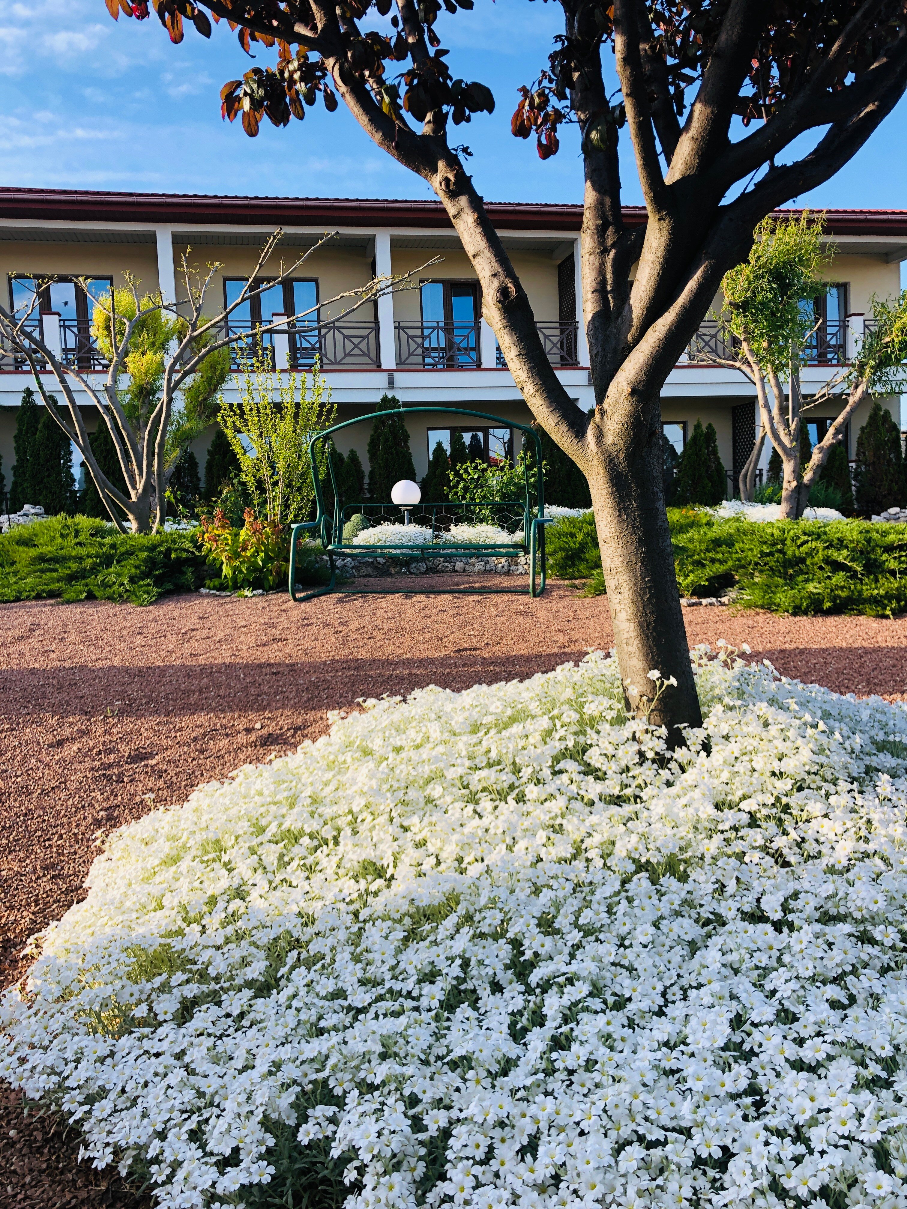 Фото Амидея