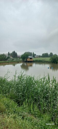 Ishda haqiqiy porno tomosha qilish