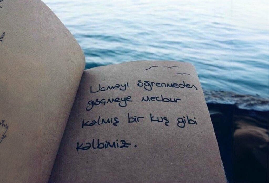 School Ridvan Hoca Imam Hatip Secondary School, Kahramanmaras, photo