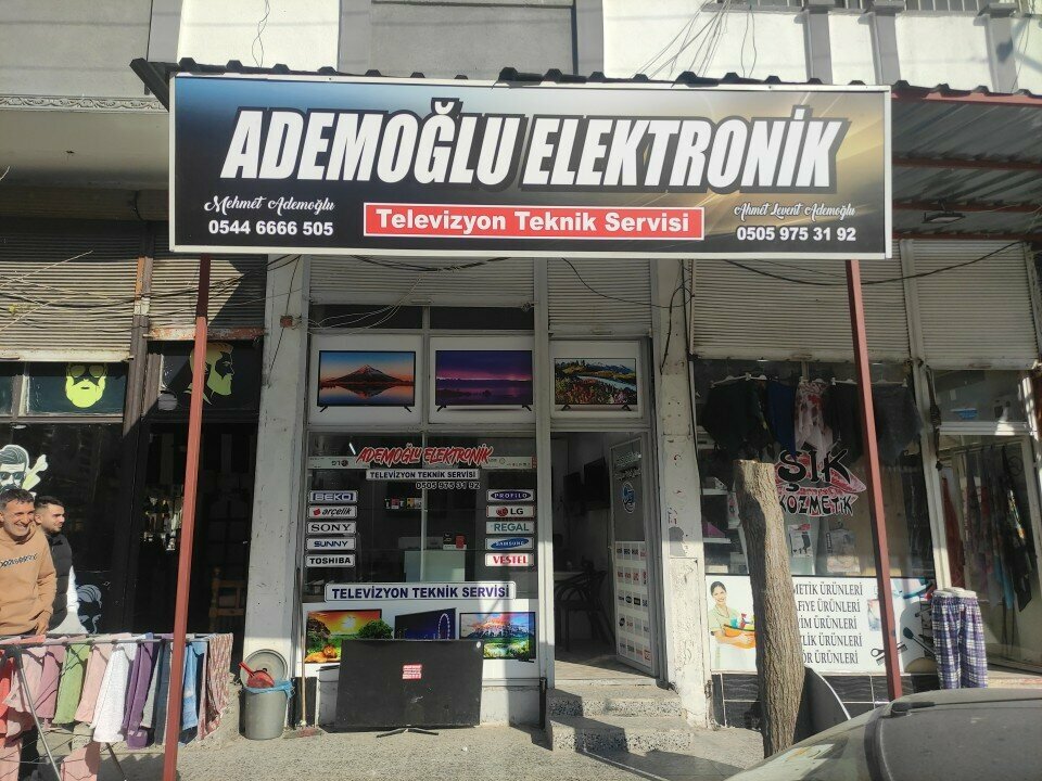 Electronic devices and components Ademoglu Electronics, Gaziantep, photo