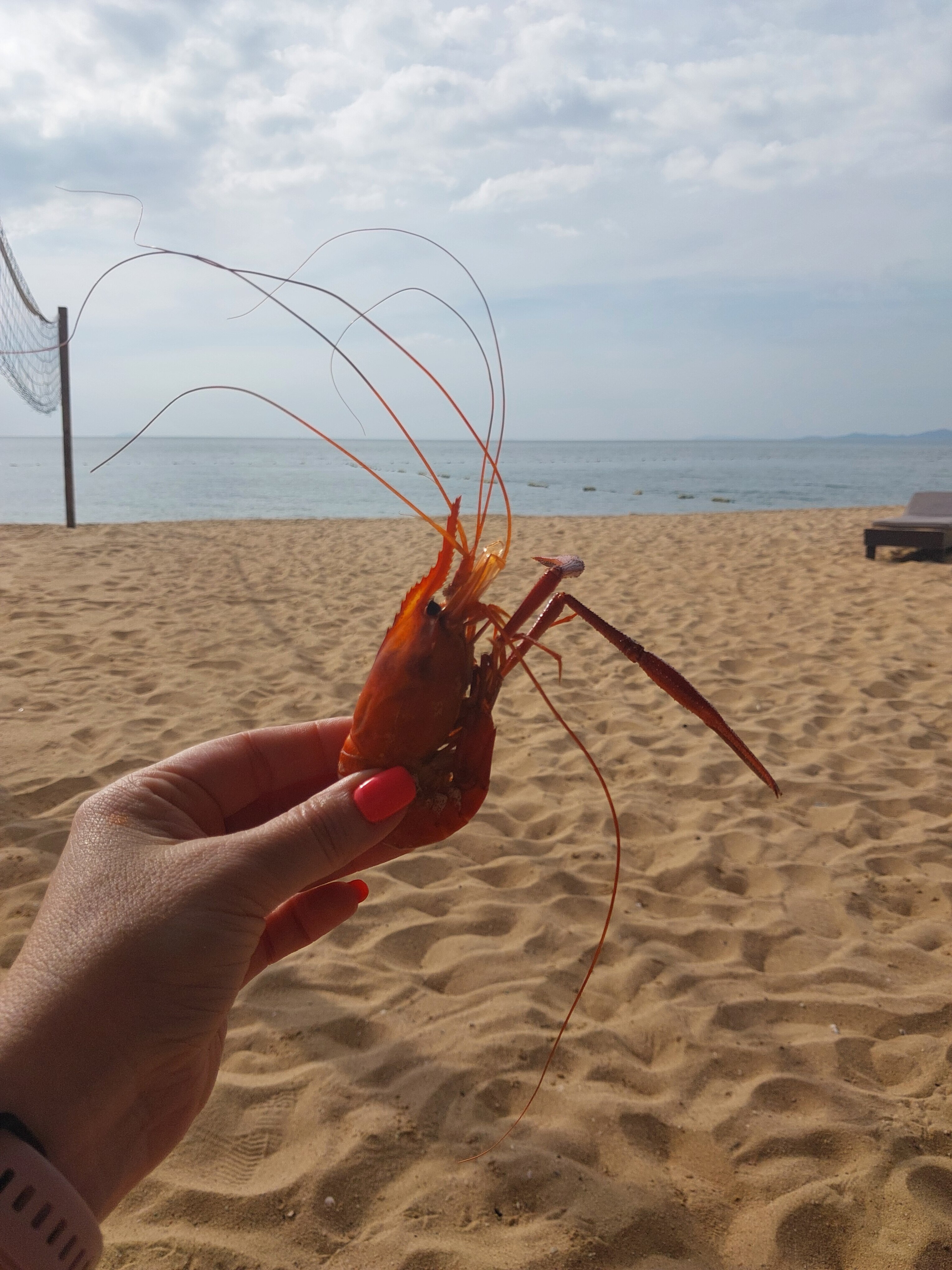 Фото Botany Beach Resort