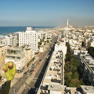 Гостиница Grand Beach Hotel