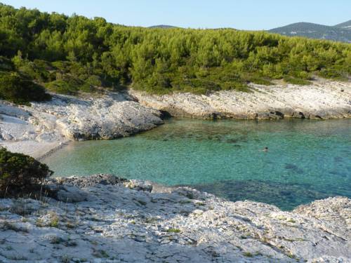 Фото Apartments Villa Olea