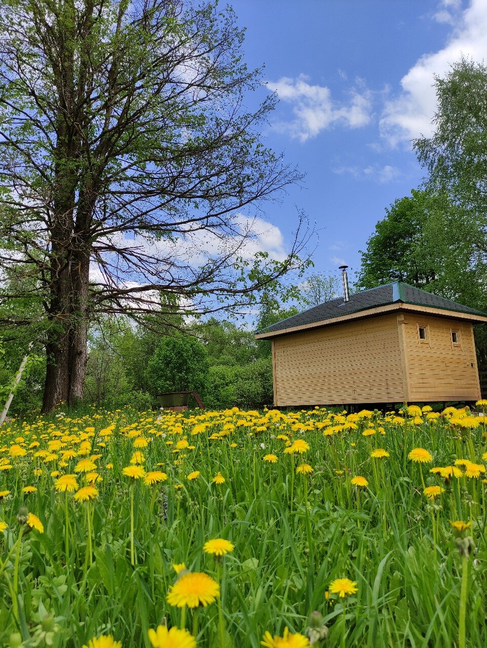 Фото Дом у лесного озера