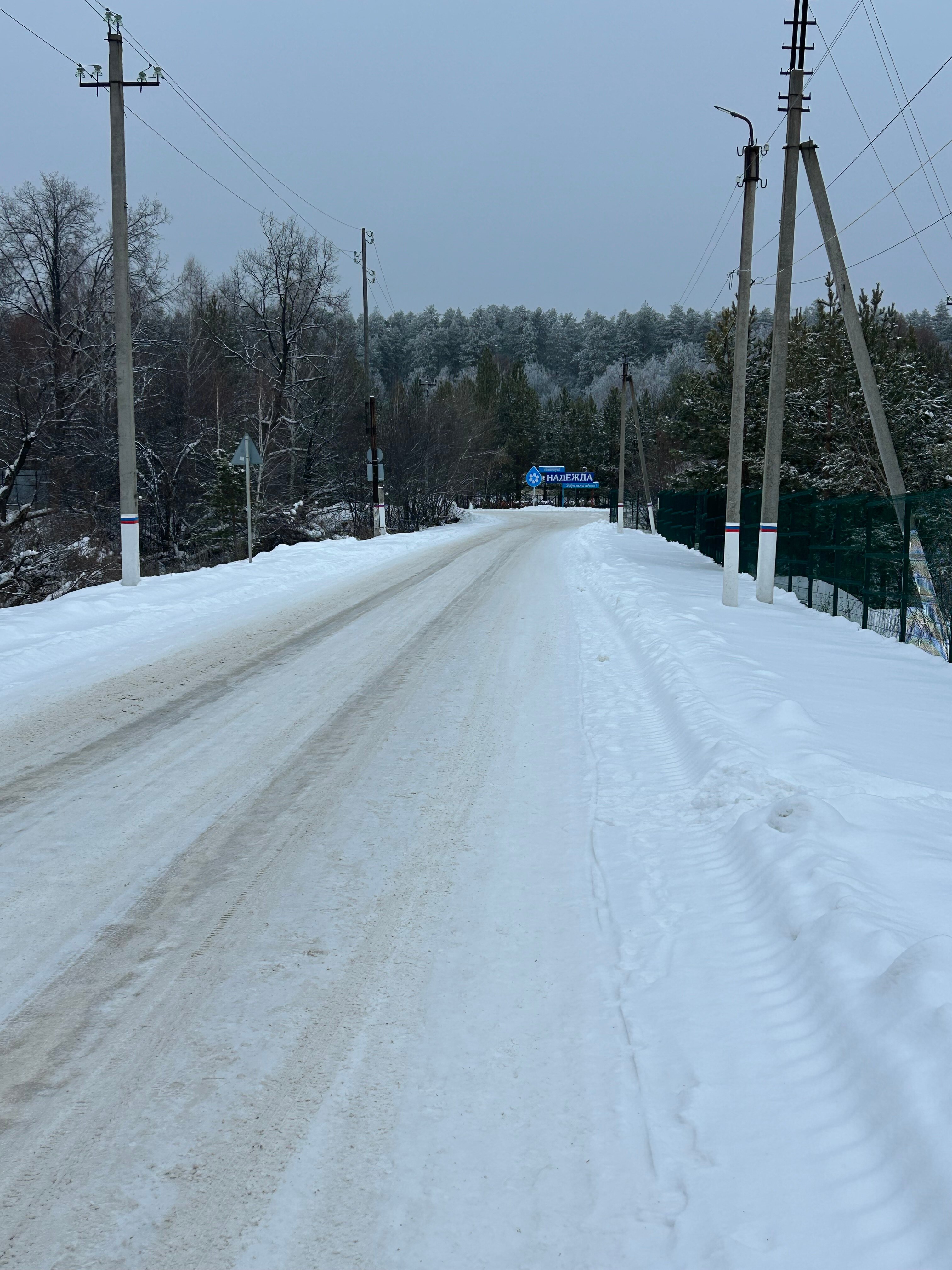 Фото Надежда