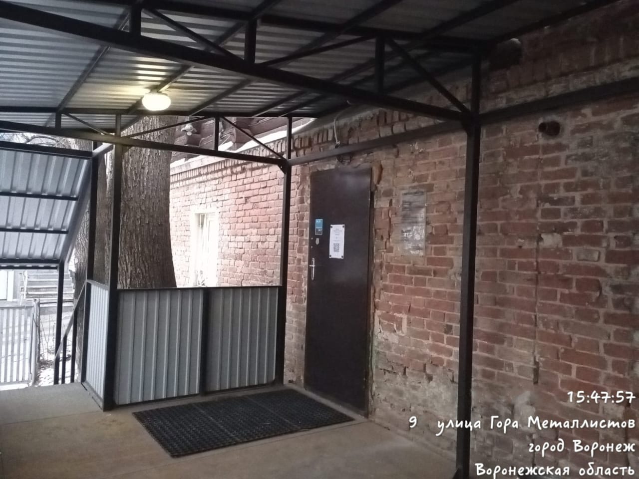 Фото Лектус