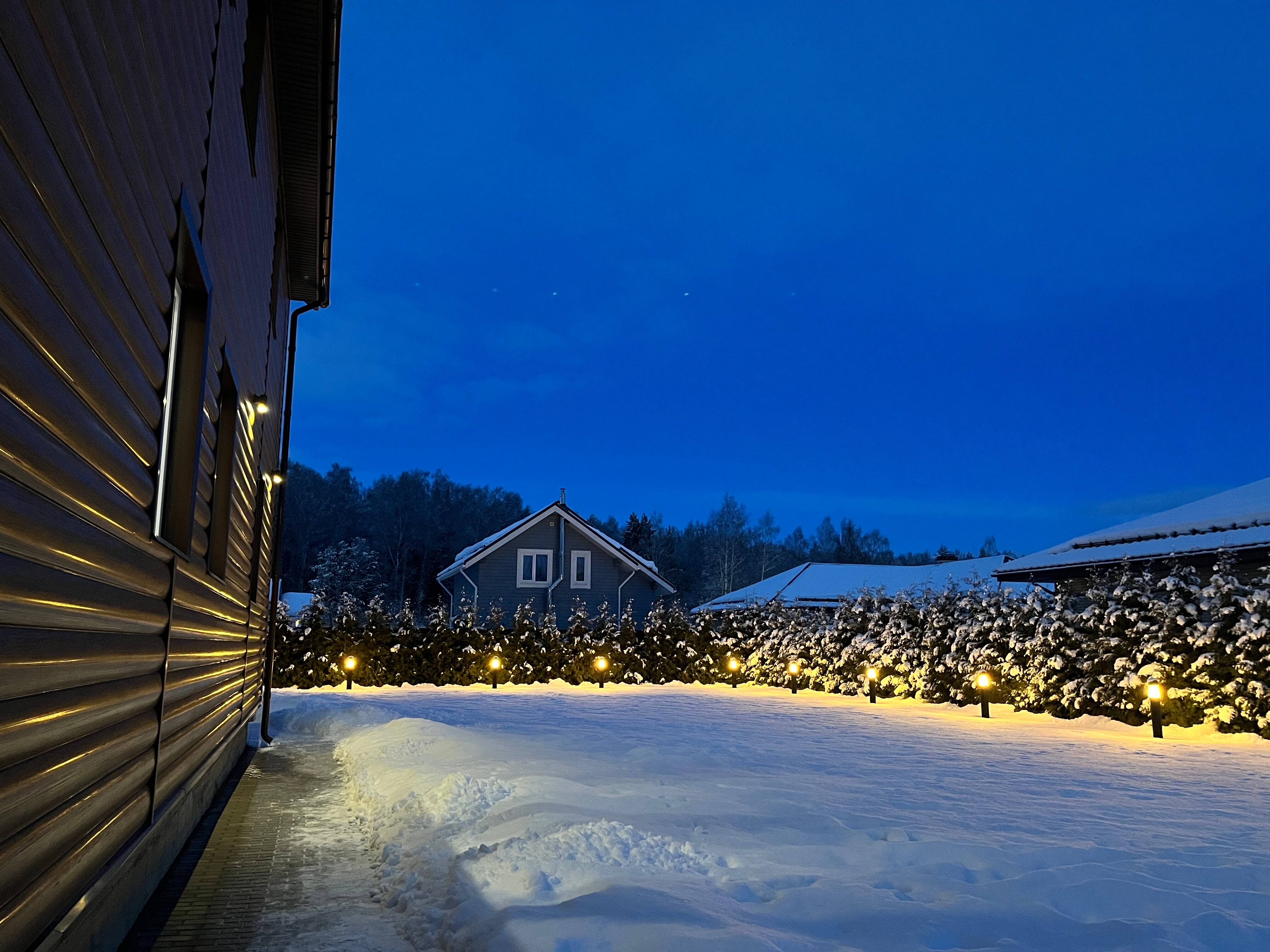 Фото Дельфин