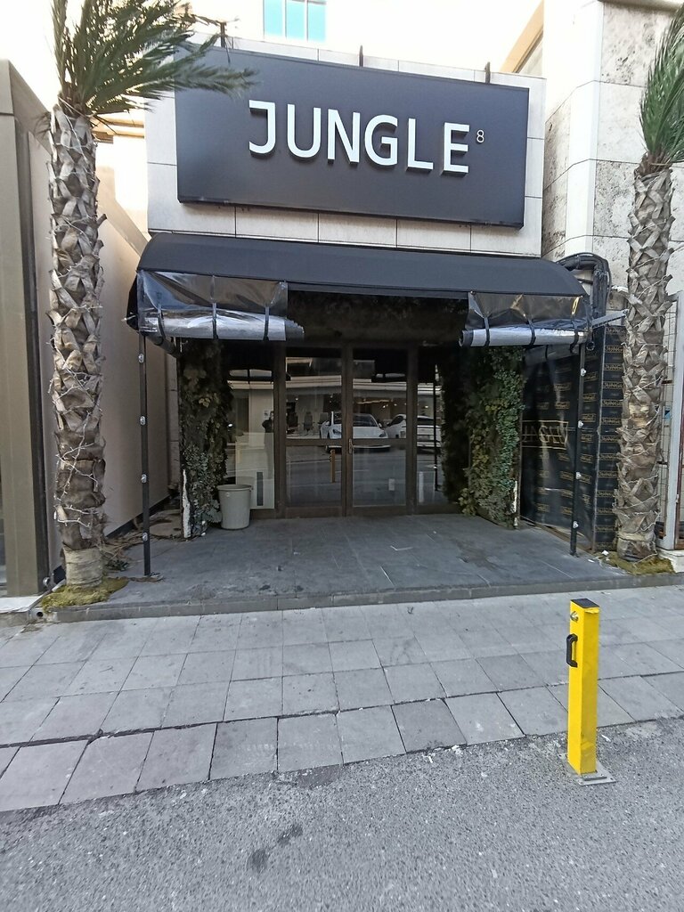 Nightclub Jungle 8, Istanbul, photo