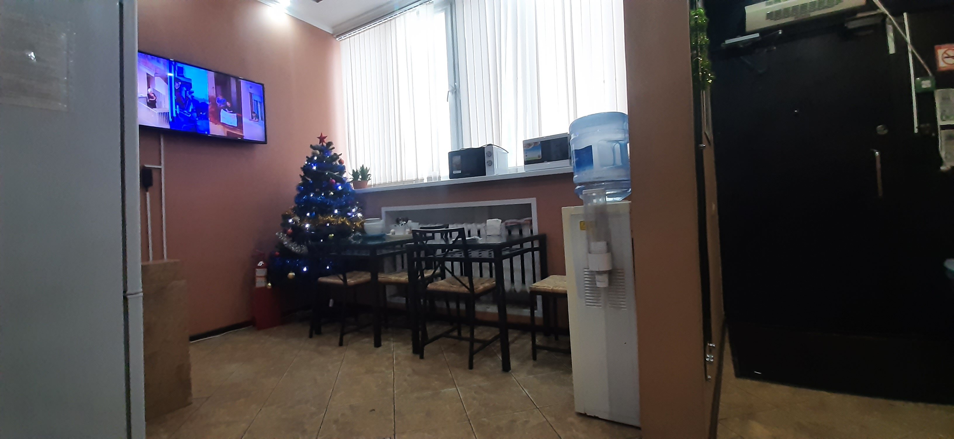 Фото Брусника Амурская