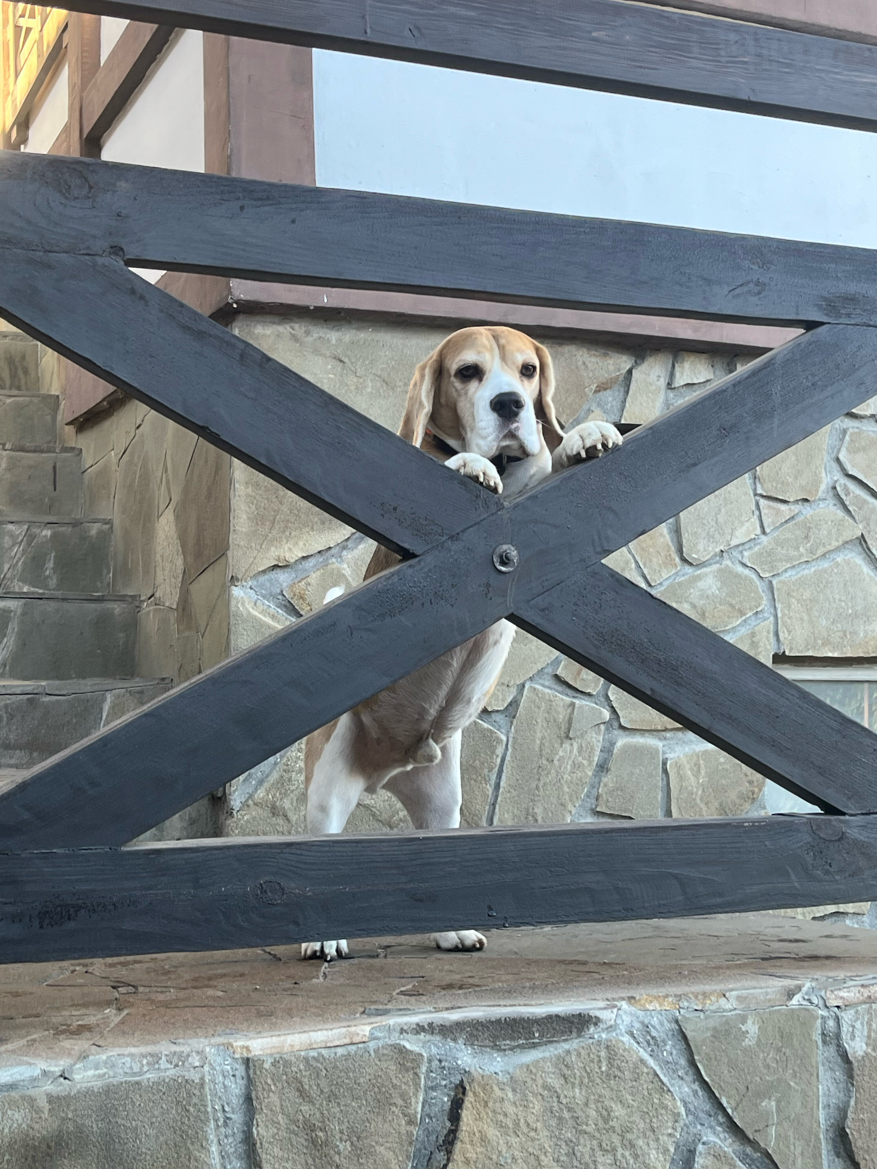 Фото Шато Бужор