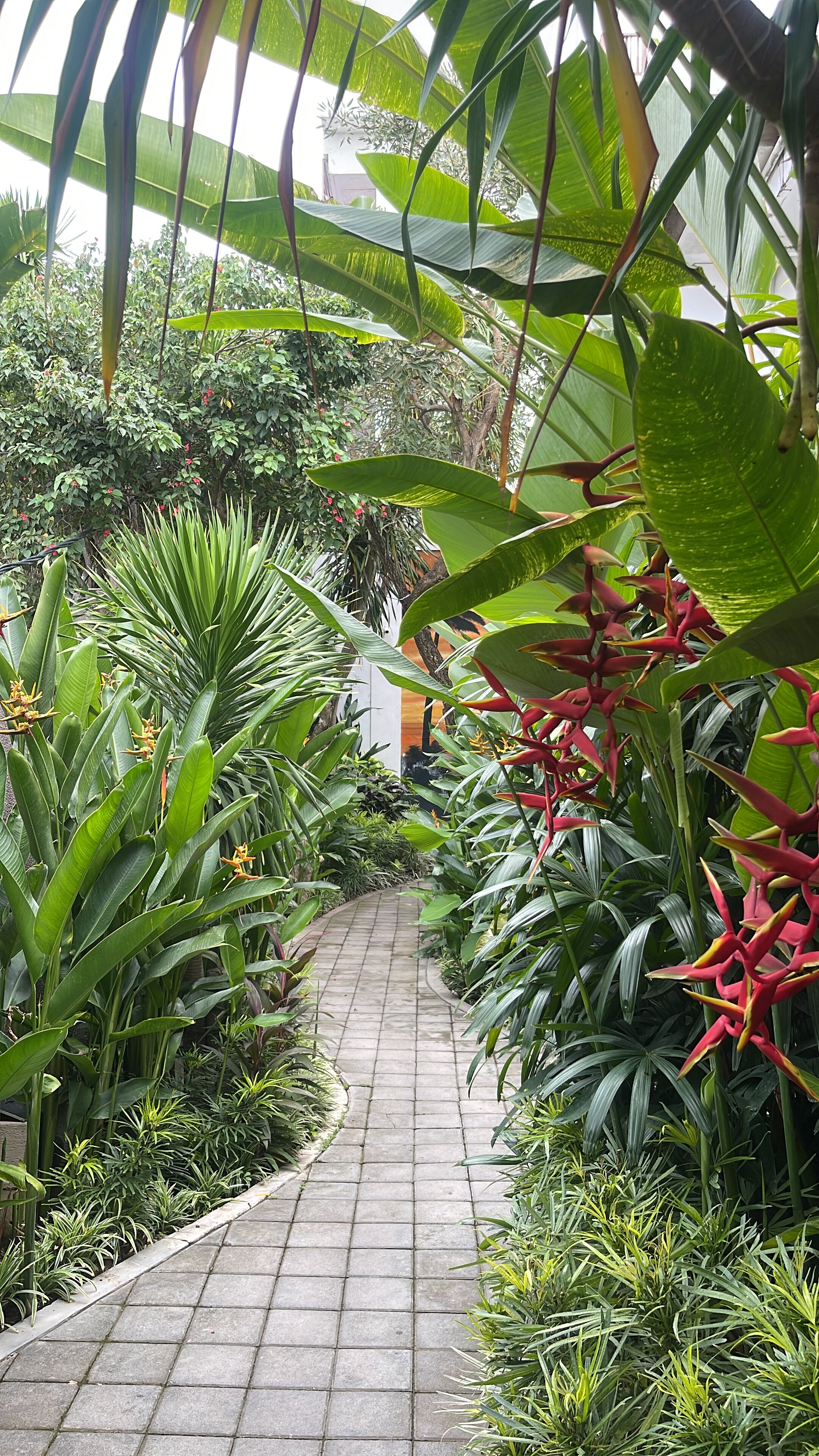 Фото Papillon Echo Beach