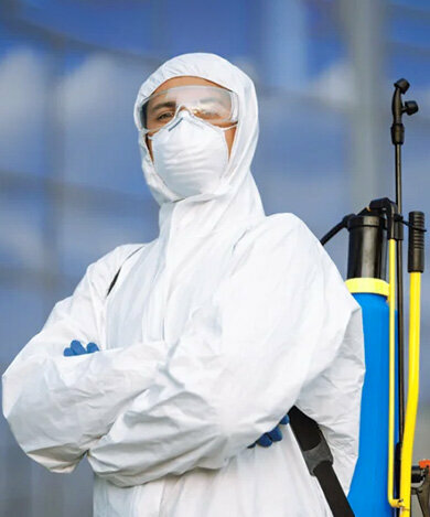 Disinfection, disinsection, deratization Pest, Dubai, photo