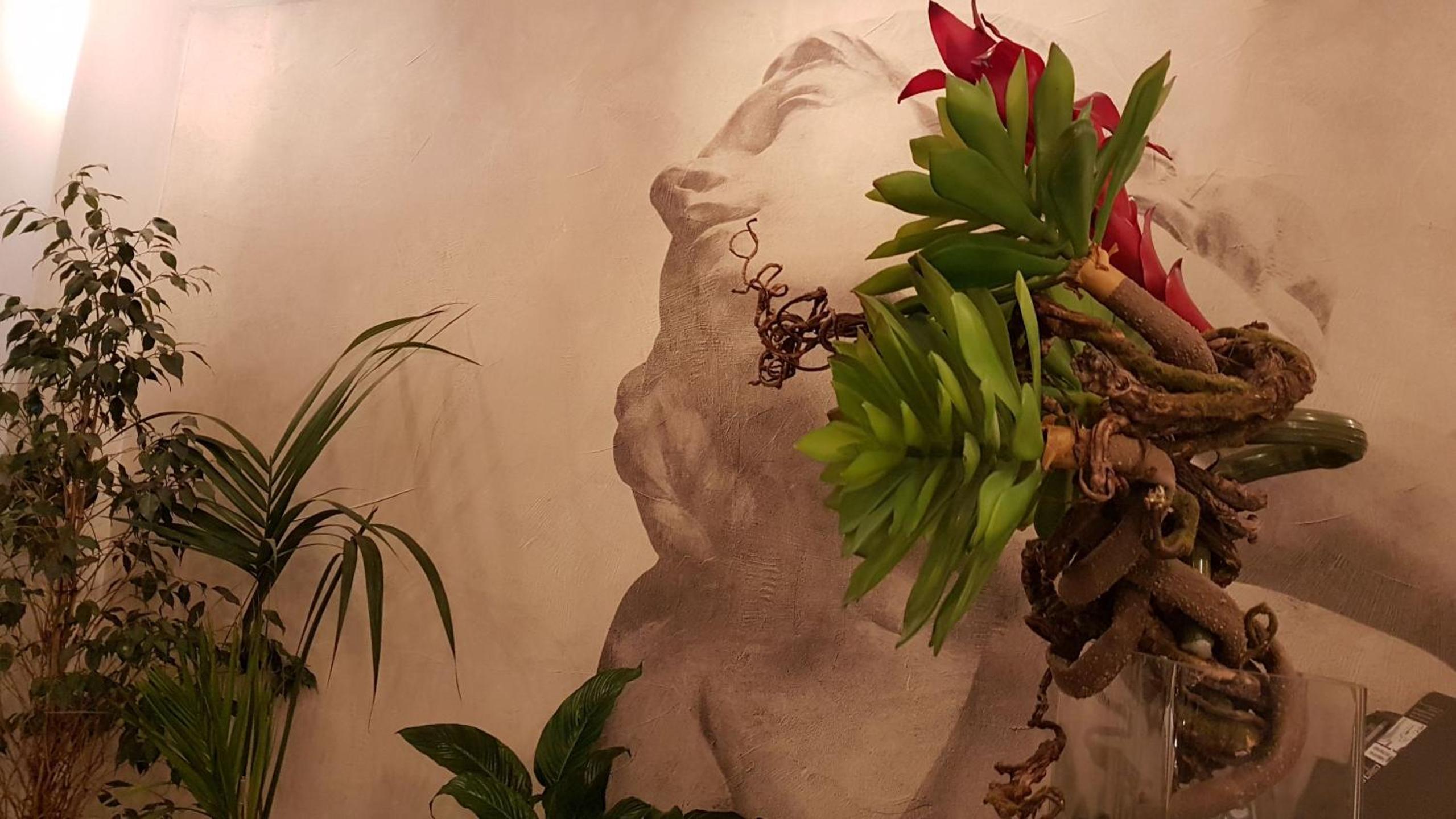 Фото Hotel Concordia