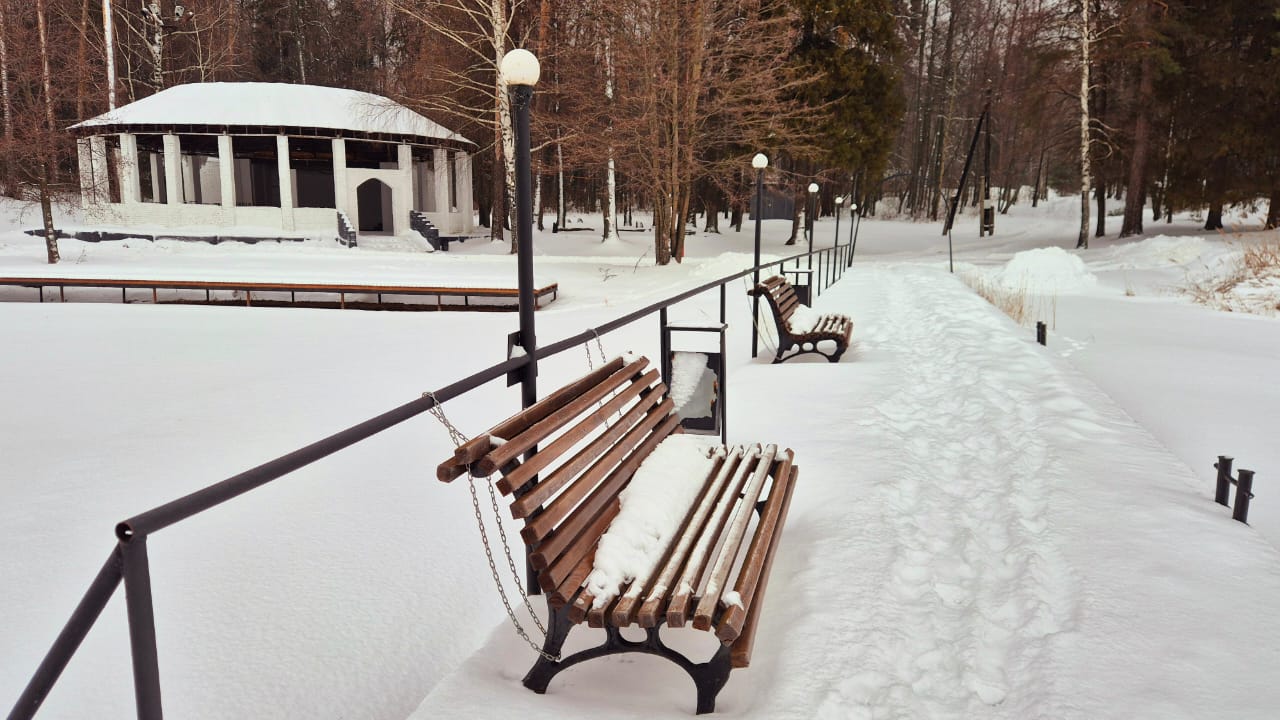 Фото Тихий Лес