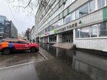 Astrointellekt (3rd Yamskogo Polya Street, 2к13), business consulting
