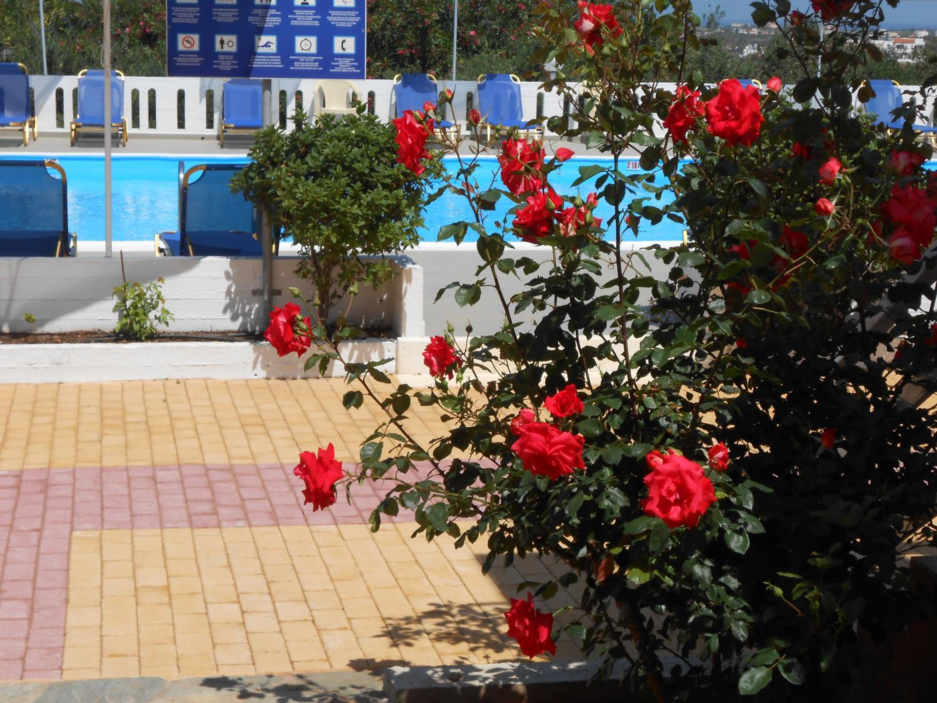 Фото Michalis Villas