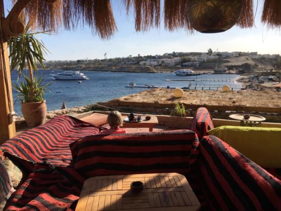 Фото Shark's Bay Oasis