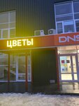 Цветы (rabochiy posyolok Kovernino, Shkolnaya ulitsa, 28Б), flower shop