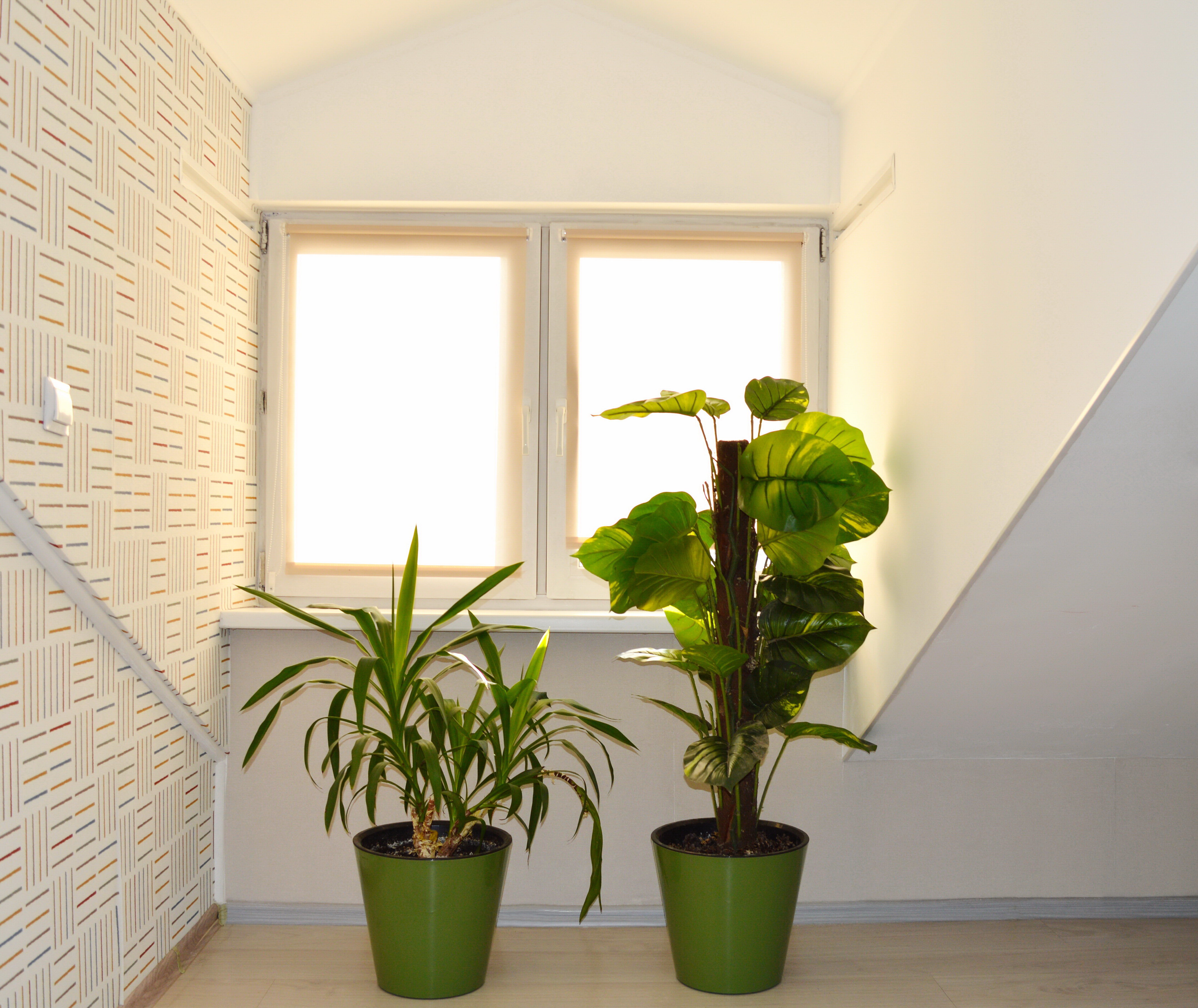 Фото Яковлевъ