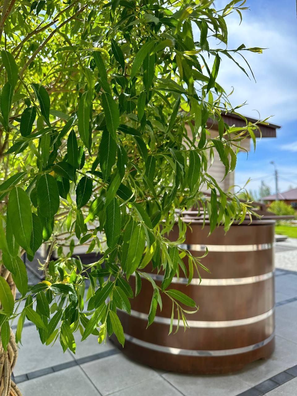 Фото Дом-баня Nickol