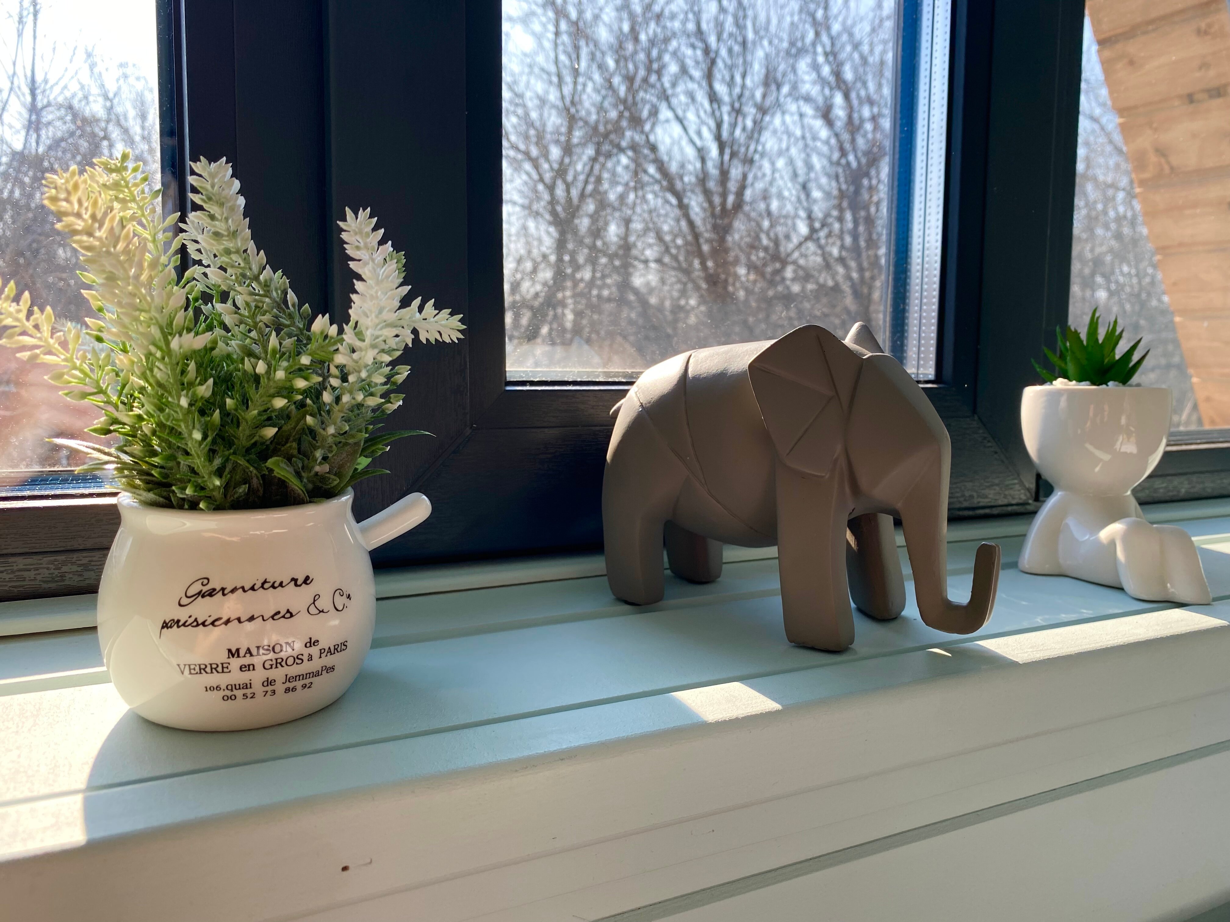 Фото Нарния