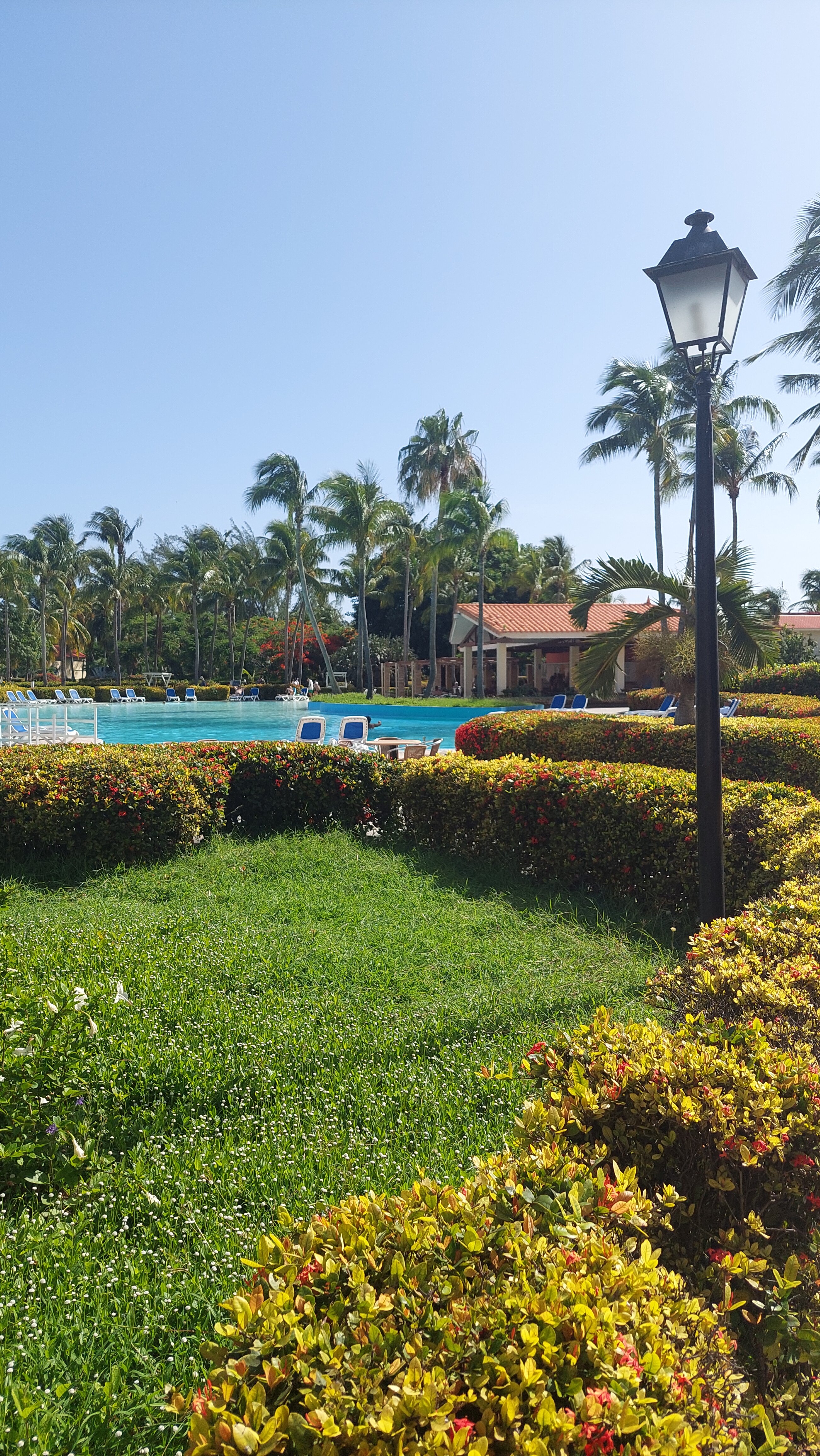 Фото Occidental Arenas Blancas by Barcelo