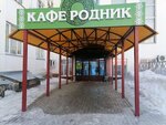 Родник (Komsomolskiy Avenue, 25), cafe