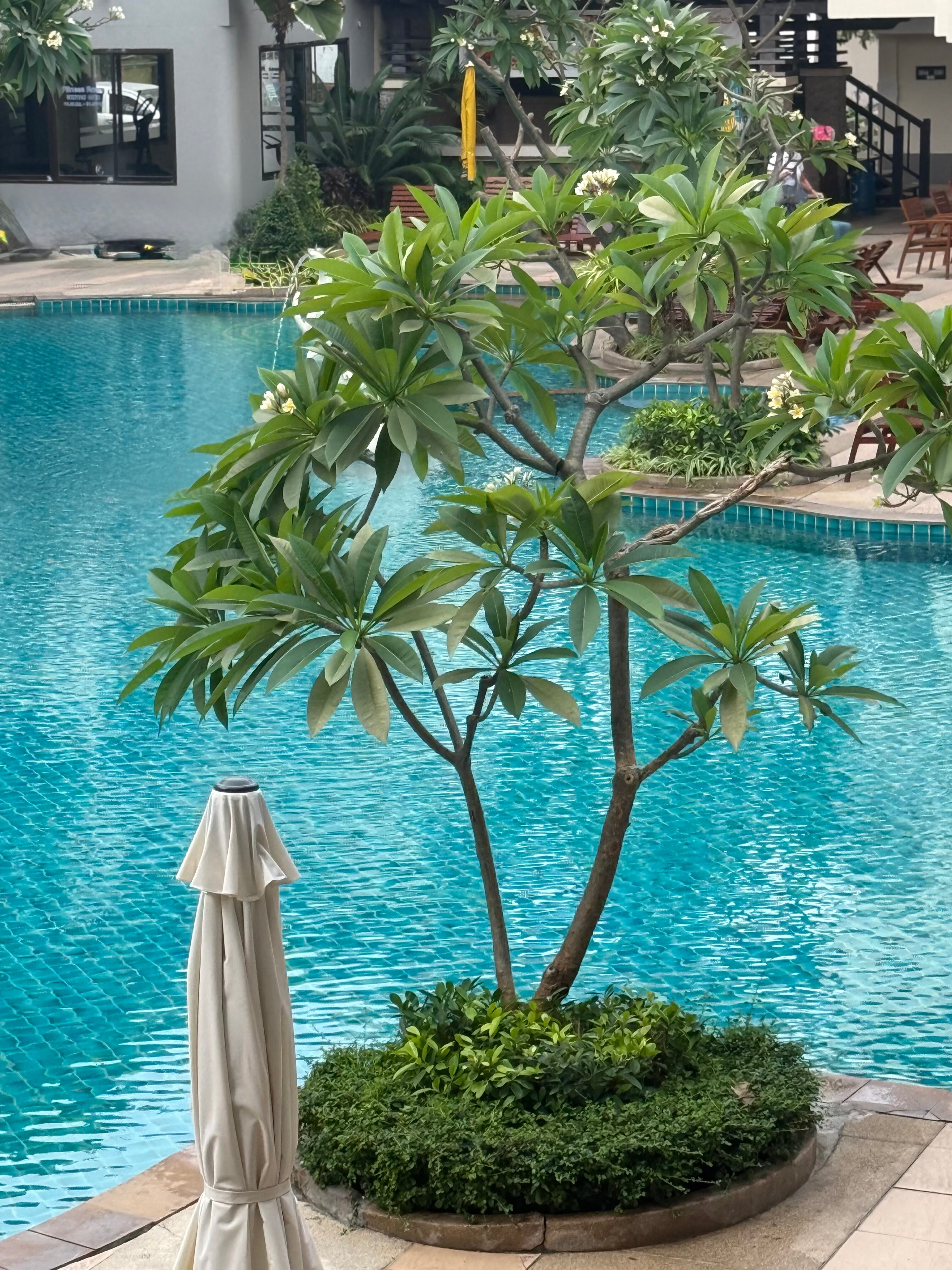 Фото Sea Breeze Jomtien Resort