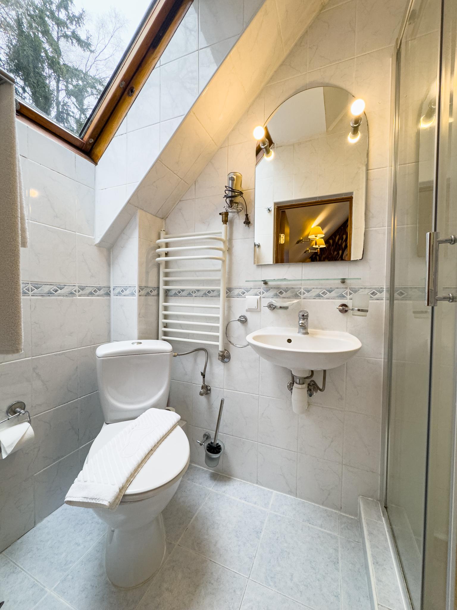 Фото Фламинго