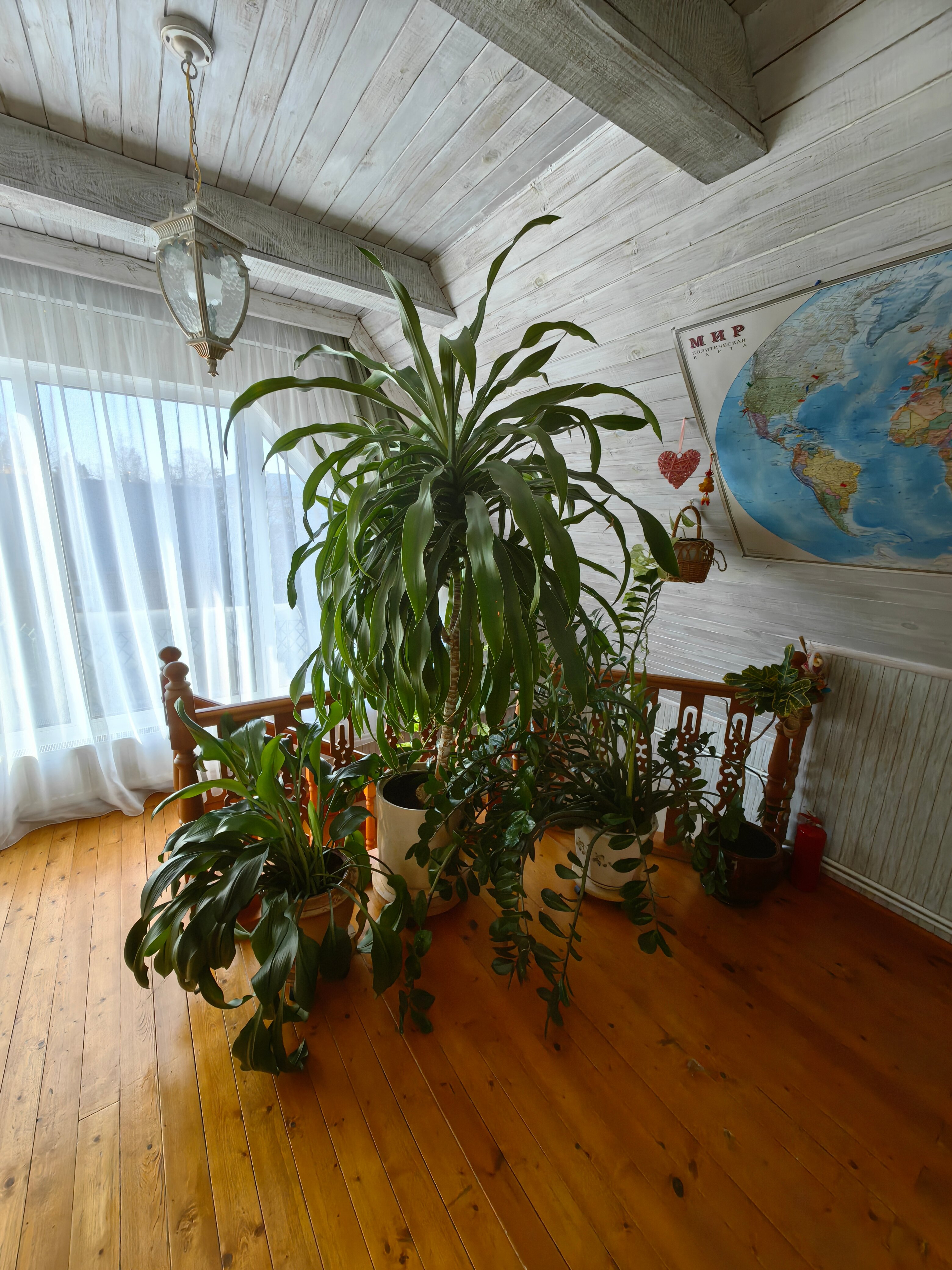 Фото Гостевой дом Петровых