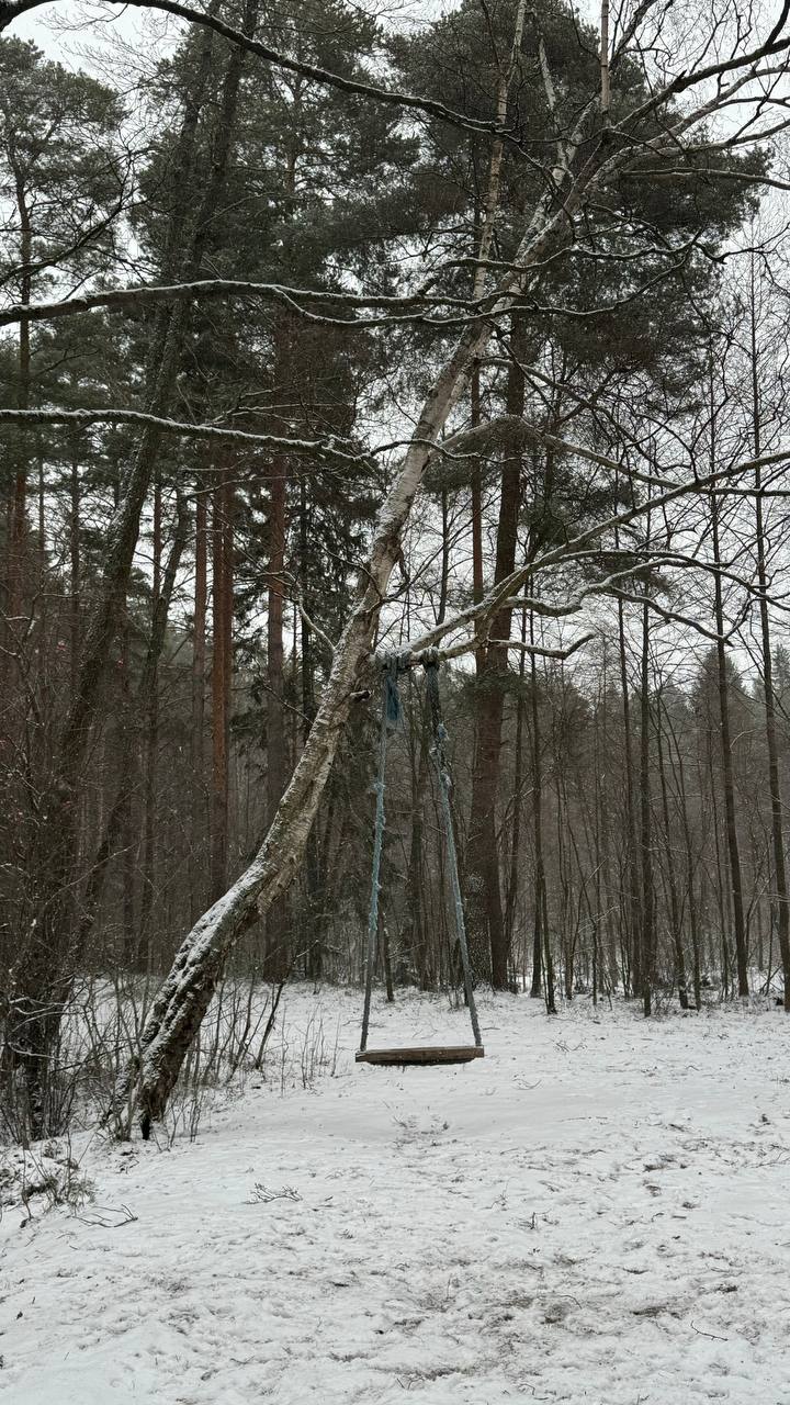 Фото Домик в Разливе