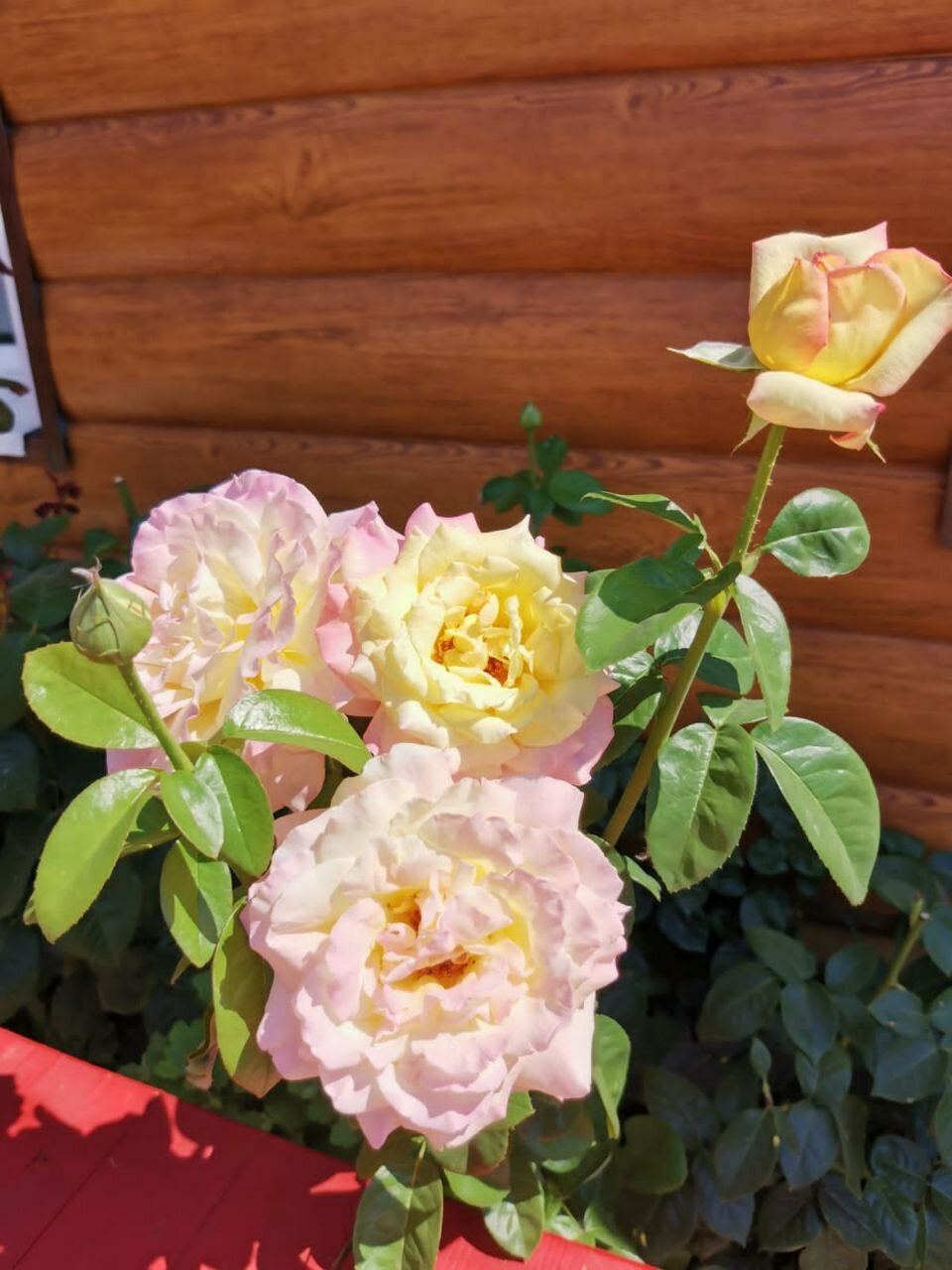 Фото Усадьба