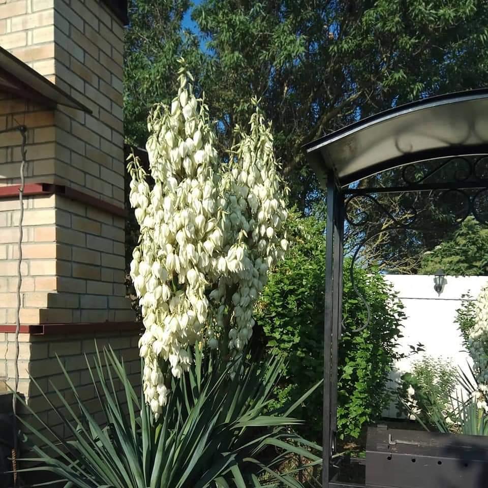 Фото Гостевой дом на Морской