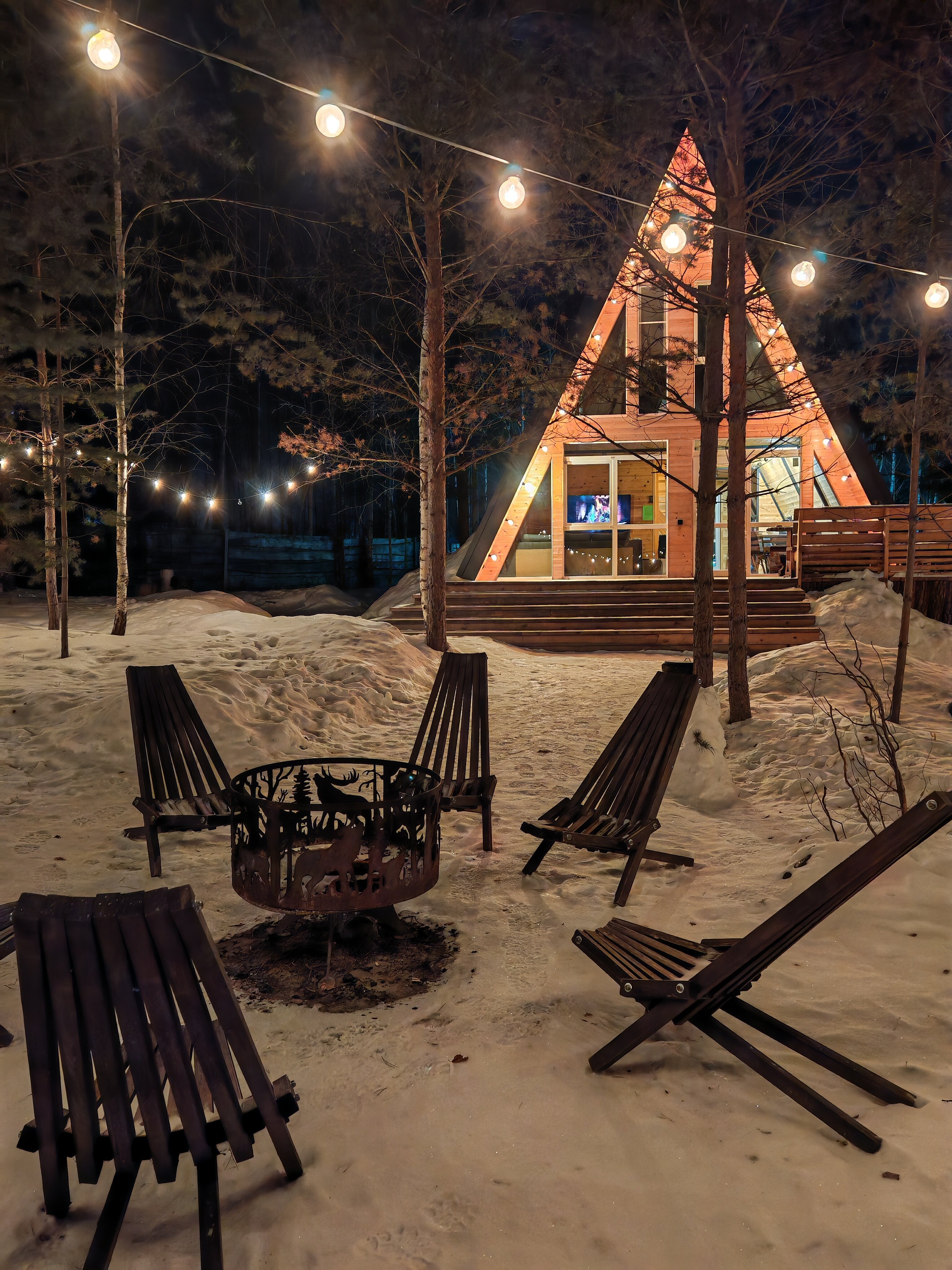 Фото Forest tale