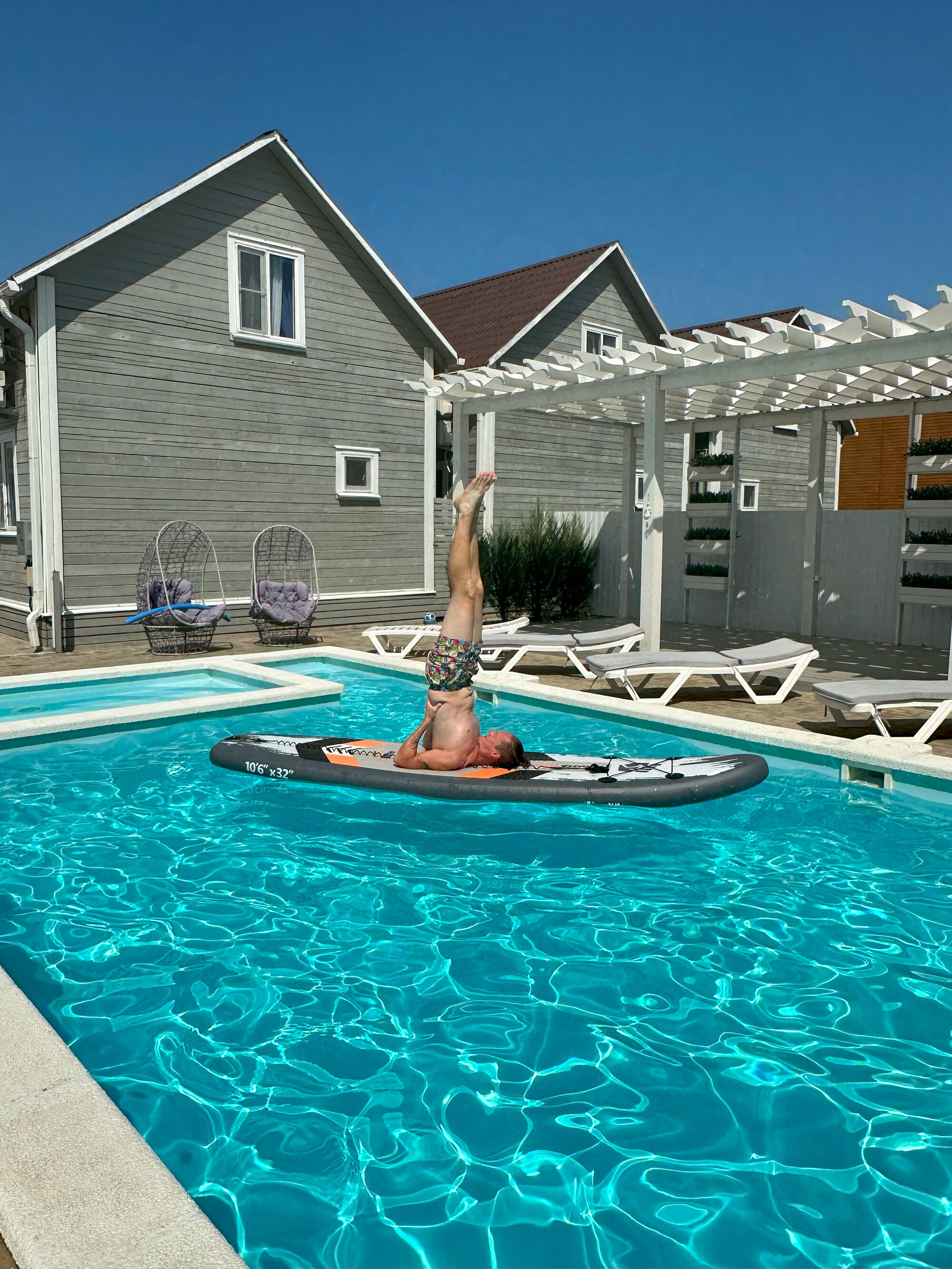 Фото Азовская чайка