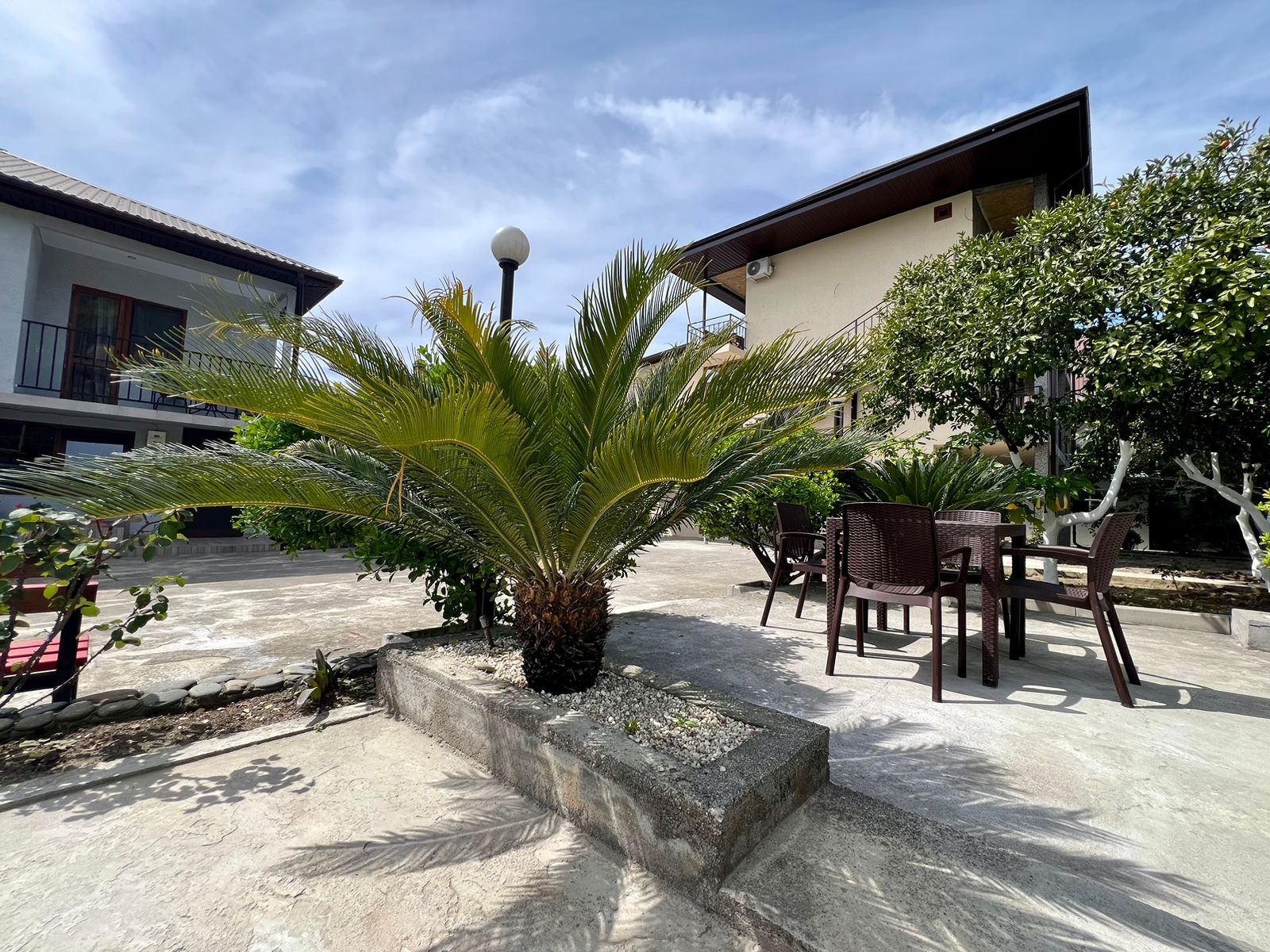 Фото Стрелец