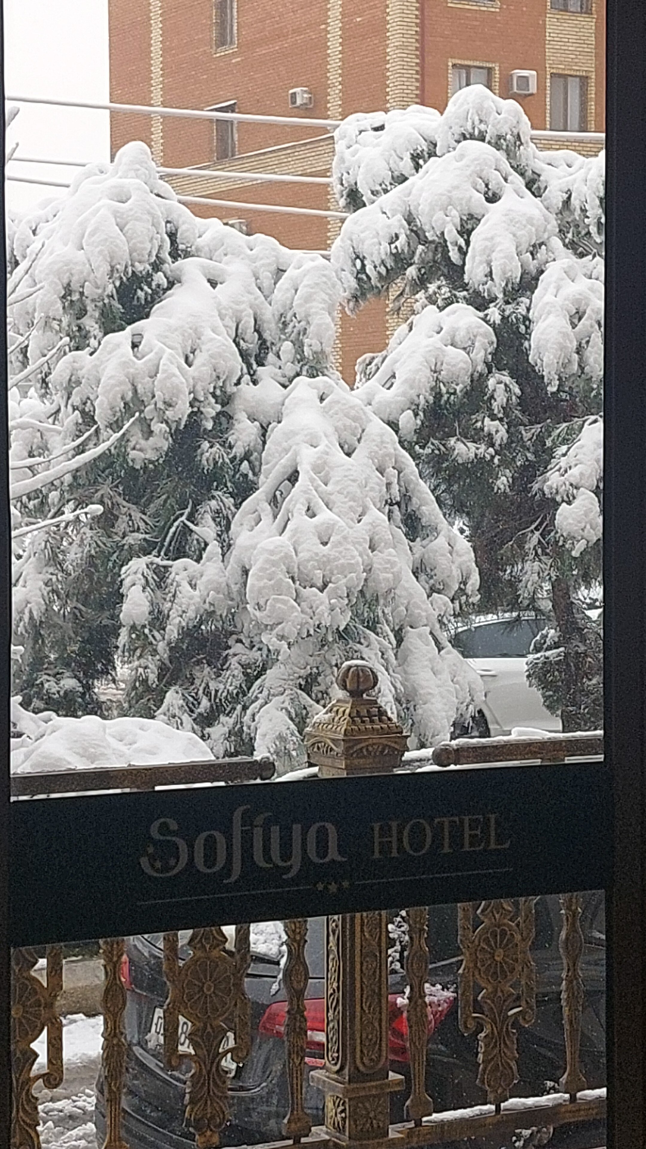 Фото Sofiya Hotel Tashkent