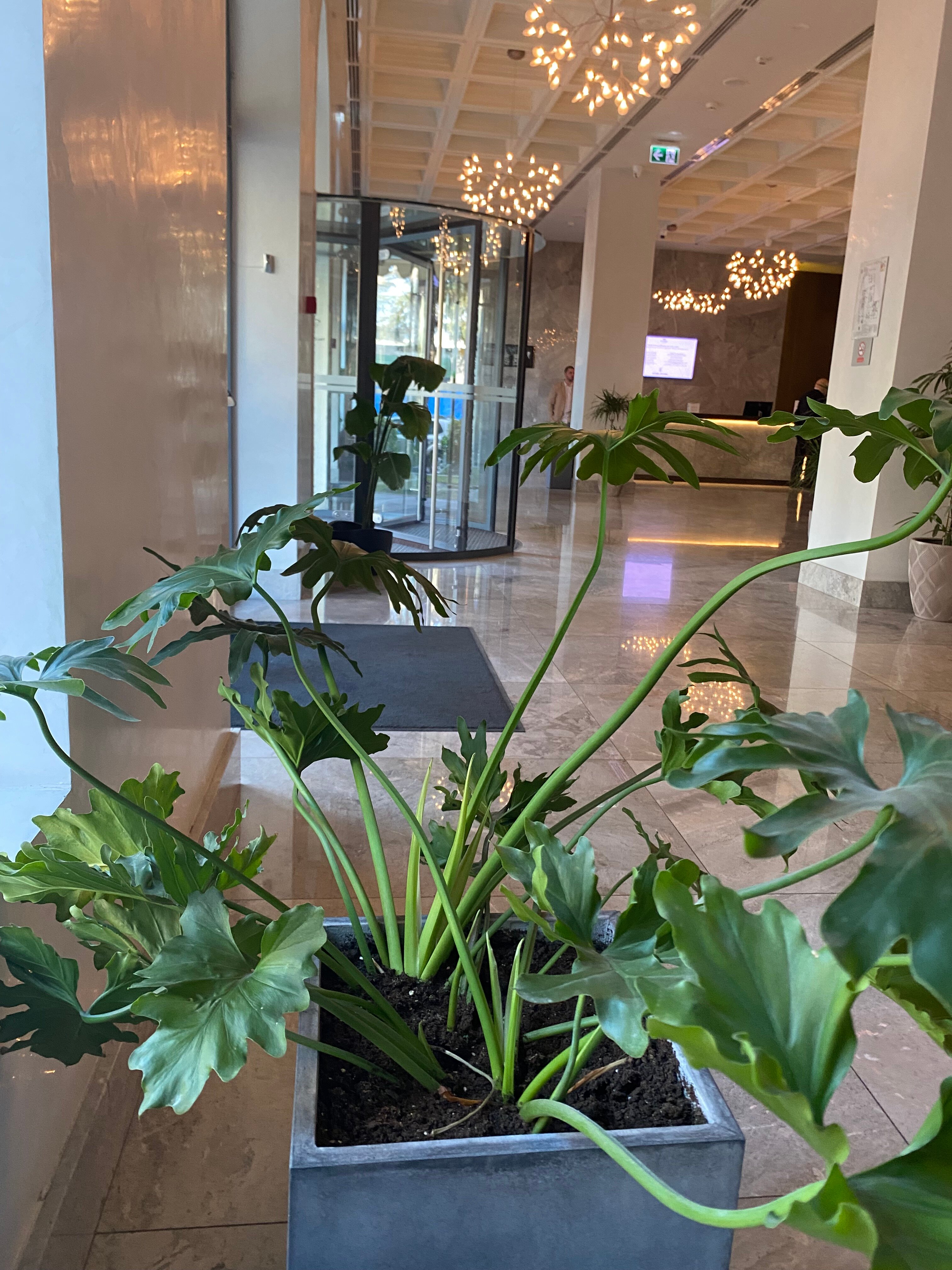 Фото Tbilisi Philharmonic Hotel by Mercure