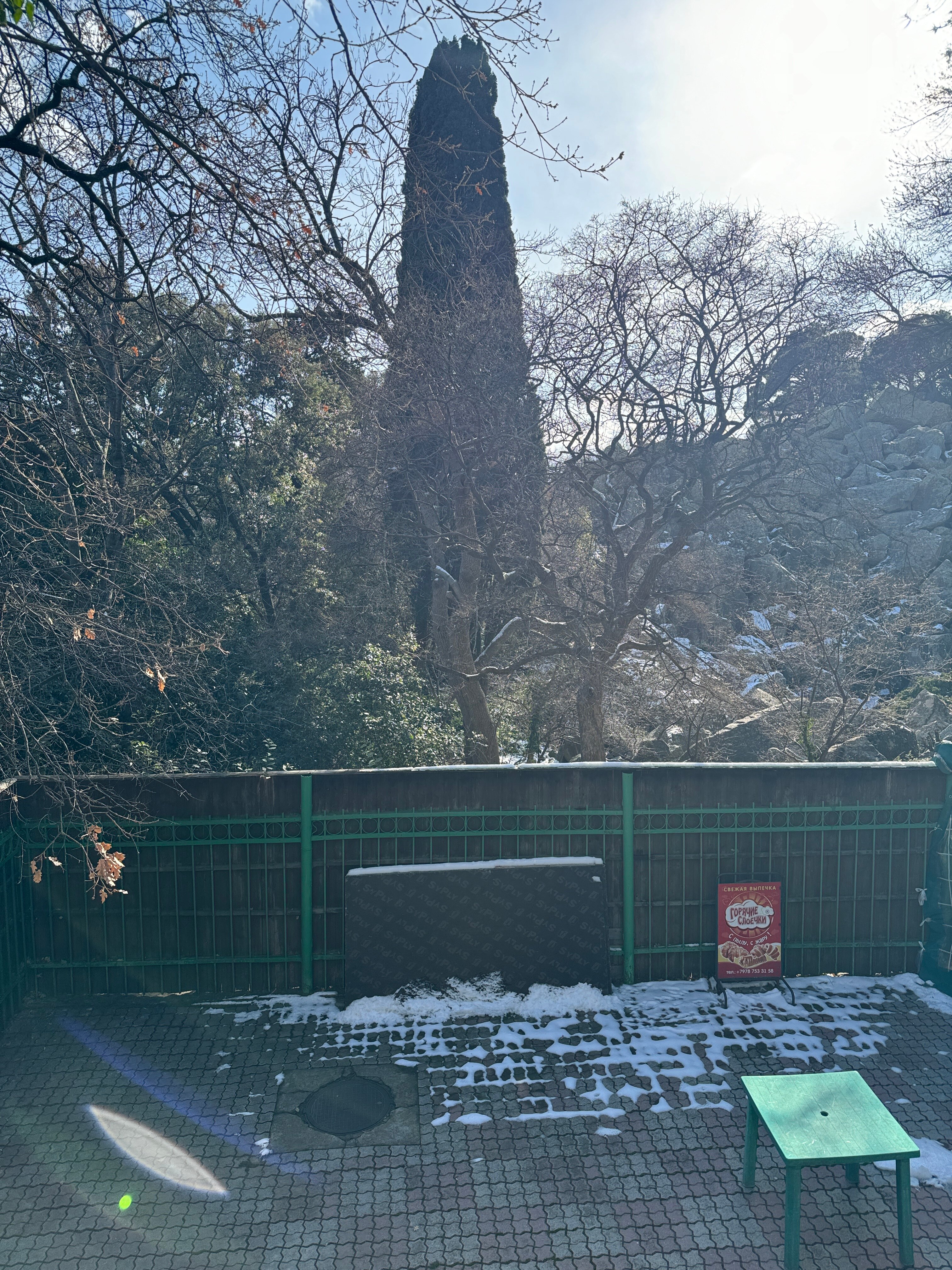 Фото Дом в парке